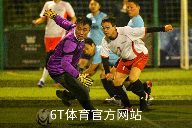 6T体育官方网站公司简介图片